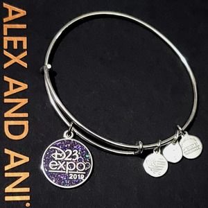 Alex and Ani Disney Expo 2019 Charm Bracelet